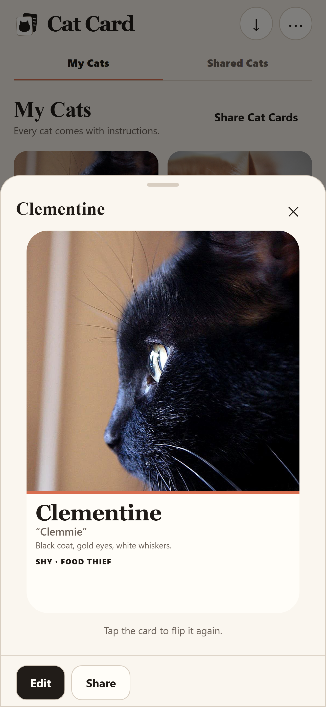 Cat Card front on an iPhone showing a fictional black cat named Clementine